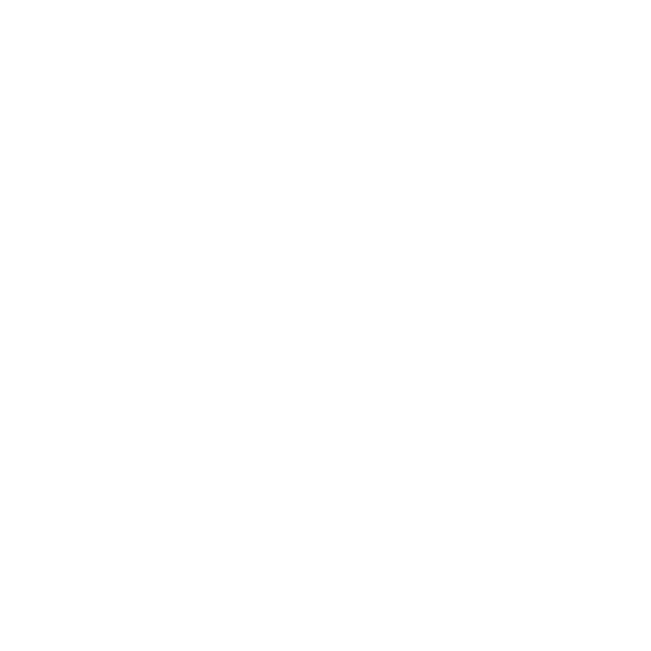 facebook-white