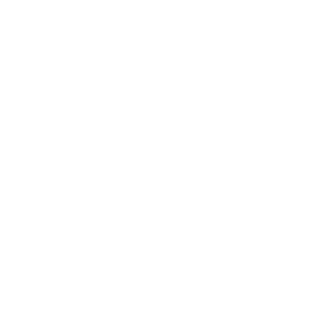 google-white